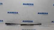 Wischerarm vorne Renault Kangoo II - Grand Kangoo KW0 8200619427