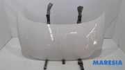Motorhaube Fiat 500 312 52009424