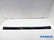 Schutzleiste Schweller Fiat Punto Evo 199 735417447