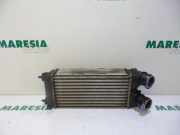 Ladeluftkühler Peugeot Partner II Kasten 9656503980