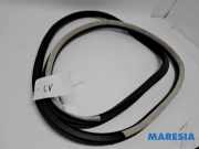 Türgummi links vorne Renault Espace V JR 808336750R