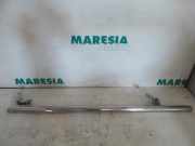 Trittbrett links Fiat Doblo Van 263