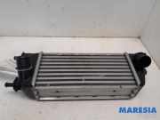 Ladeluftkühler Fiat 500 312 0051855481
