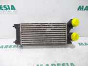 Ladeluftkühler Citroen Berlingo II Kasten B9 9684212480