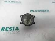 Nebelscheinwerfer rechts vorne Renault Scenic III JZ 89210094