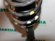 Federbein rechts vorne Peugeot 407 5202NZ