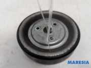 Riemenscheibe für Wasserpumpe Citroen C4 II Picasso 120459