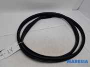 Türgummi links vorne Fiat 500e 332 52211254
