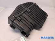 Luftfiltergehäuse Citroen C3 II SC 9670851880