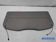 Hutablage Renault Scenic II JM