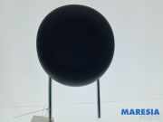 Kopfstütze Fiat 500 312 71776011