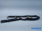 Airbag Dach links Citroen C3 II SC 9672465380