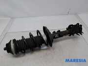 Federbein links vorne Fiat Panda 312, 319 51926520
