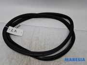 Türgummi links hinten Citroen C3 III SX 9813059680