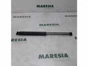 Heckklappendämpfer Peugeot 206 Schrägheck 2A/C 9631441380