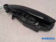 Türgriff links hinten Citroen C4 II Grand Picasso 9109E4