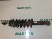 Federbein links hinten Peugeot 407 5206AY