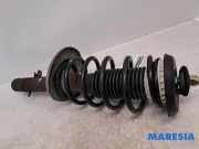 Federbein rechts vorne Peugeot 207 5202WF