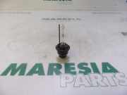 Glühlampe Xenon Lancia Thesis 841 204398