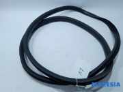 Türgummi links vorne Renault Zoe BFM 808324593R