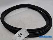 Türgummi rechts hinten Renault Captur II HF 769238549R