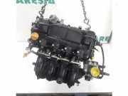 Motor ohne Anbauteile (Benzin) Fiat 500X 334 334AXE