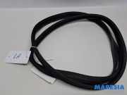 Türgummi links hinten Peugeot 107 9025AN