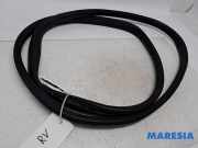 Türgummi rechts vorne Peugeot 108 B000807480