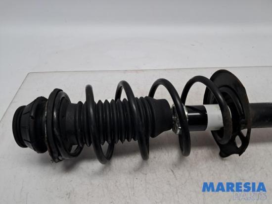 Federbein links vorne Peugeot 107 5002HN Bild Federbein links vorne Peugeot 107 5002HN