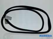 Türgummi links vorne Fiat 500 C 312 51829202