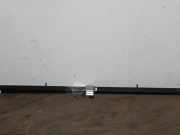 Hutablage Citroen C6 T 8342HB