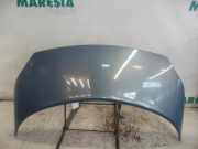 Motorhaube Renault Grand Scenic II JM 7751474289