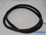 Türgummi rechts hinten Citroen C3 III SX 9813059680