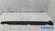 Schutzleiste Schweller Citroen C3 III SX 9813817480