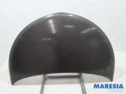 Motorhaube Lancia Ypsilon 312 51835535