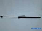 Heckklappendämpfer links Citroen C1 8731L0