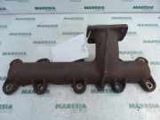 Auspuffkrümmer Fiat Ducato Kasten 244 500392753