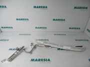 Airbag Dach links Renault Clio III BR0/1, CR0/1 8200635952