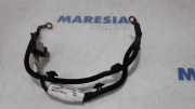 Sensor Citroen C3 II SC 9801628680