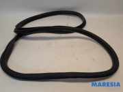 Türgummi links hinten Alfa Romeo Giulia 952 6000626323