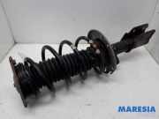 Federbein links vorne Citroen C4 II Grand Picasso 9801945480