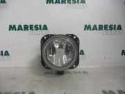 Nebelscheinwerfer rechts vorne Citroen Xsara Picasso N68 6204AA