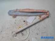 Airbag Dach links Citroen DS4 NX 9801890780