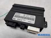 Steuergerät Einparkhilfe Citroen C5 III Break RW 0263004203