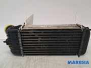 Ladeluftkühler Citroen DS3 SA 9685426580