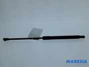 Gasdruckfeder Alfa Romeo Giulia 952 00505434870