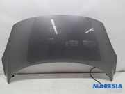 Motorhaube Renault Scenic III JZ 651008842R