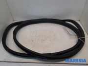Türgummi rechts hinten Renault Zoe BFM 769232904R