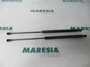 Heckklappendämpfer Peugeot 206 Schrägheck 2A/C 9631441380