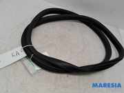 Türgummi rechts hinten Renault Clio IV BH 769234807R